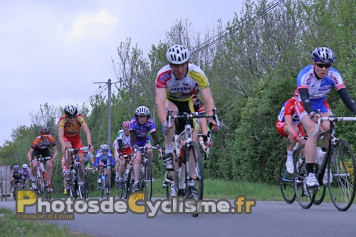 2 mai 2010 penvins (15)
